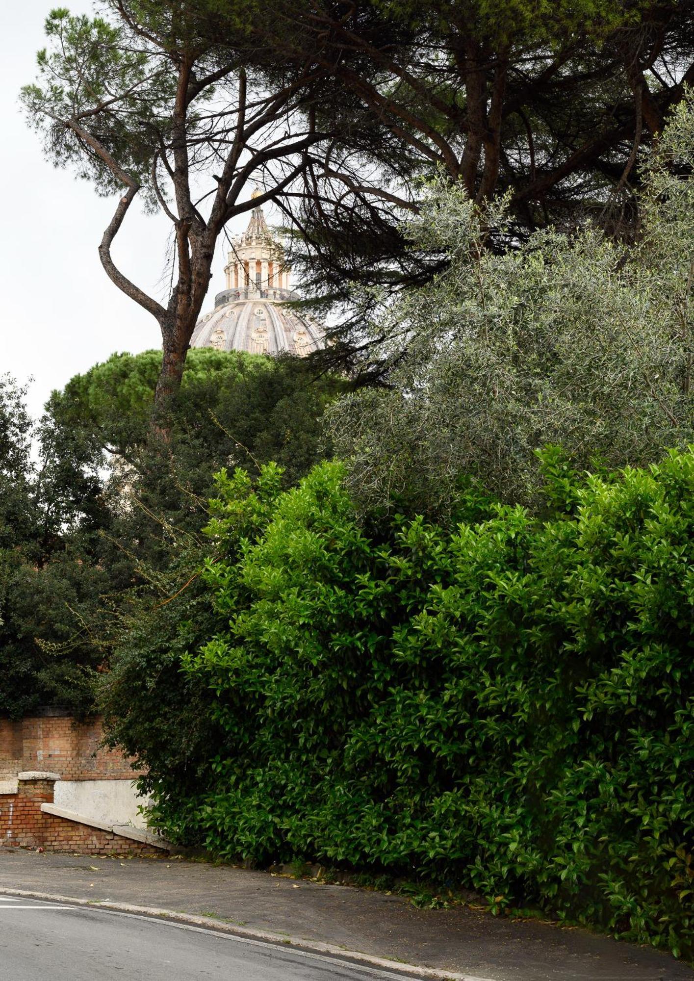 Magnoliahome Alla Cupola Di San Pietro Roma Eksteriør bilde